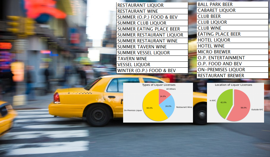 License Type Breakdown